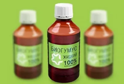 Рідкий біогумус, секрети інтенсивного росту рослин і багатого врожаю (рослин) Рідкий біогумус, секрети інтенсивного росту рослин і багатого врожаю