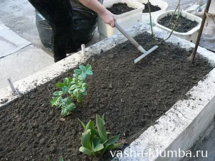 Земля для кімнатних квітів
