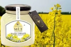 Мед акації - корисні властивості і протипоказання