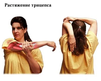 м'язові судоми