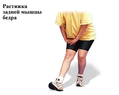 м'язові судоми