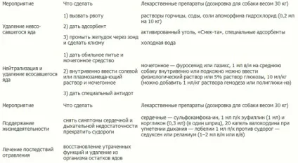Заходи при отруєннях () Заходи при отруєннях