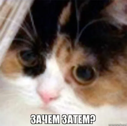 мем кота