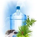 Чи можна пити воду з річки