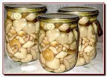 Чи можна маринувати підберезники як маринувати підберезники (як маринувати) Чи можна маринувати підберезники як маринувати підберезники