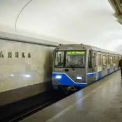 Москва, новини, потяги не ходять від - Боровицької - до - серпуховской - через падіння на рейки (гілки) Москва, новини, потяги не ходять від - Боровицької - до - серпуховской - через падіння на рейки