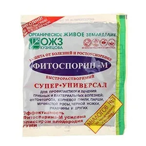 Чи можна обприскувати помідори сироваткою для підгодівлі і від фітофтори (помідори) Чи можна обприскувати помідори сироваткою для підгодівлі і від фітофтори