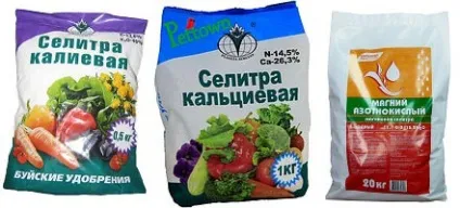 Чи можна годувати помідори селітрою і яку використовувати (помідори) Чи можна годувати помідори селітрою і яку використовувати