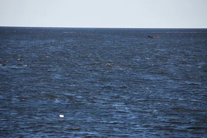 Море Лаптєвих (басейн північного льодовитого океану) (карта) Море Лаптєвих (басейн північного льодовитого океану)