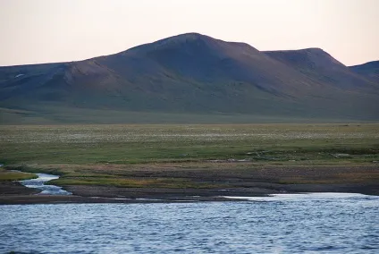 Море Лаптєвих (басейн північного льодовитого океану) (флора та фауна) Море Лаптєвих (басейн північного льодовитого океану)