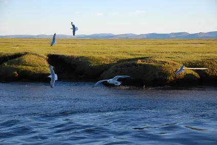 Море Лаптєвих (басейн північного льодовитого океану) (північного) Море Лаптєвих (басейн північного льодовитого океану)