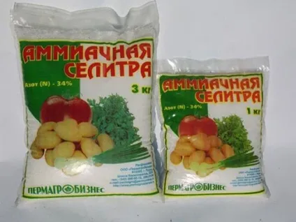 Чи можна годувати помідори селітрою і яку використовувати (помідори) Чи можна годувати помідори селітрою і яку використовувати