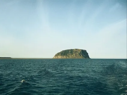 Море Лаптєвих (басейн північного льодовитого океану) (рибалка) Море Лаптєвих (басейн північного льодовитого океану)