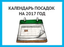 Муха на ожині що робити і профілактика появи (появи) Муха на ожині що робити і профілактика появи
