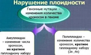 Мутації - добре чи погано