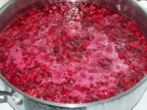 Наливки і настойки з малини в домашніх умовах (умовах) Наливки і настойки з малини в домашніх умовах