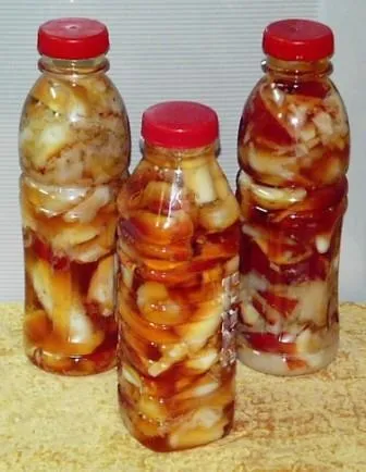 Мухомор червоний, лікування (мухомор РЕЦЕПТ НАСТОЙКИ) Мухомор червоний, лікування