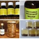Настоянка воскової молі інструкція із застосування, призначення, лікування, відгуки (молі) Настоянка воскової молі інструкція із застосування, призначення, лікування, відгуки
