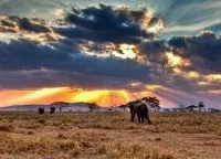 Національний парк Серенгеті, serengeti national park (park) Національний парк Серенгеті, serengeti national park