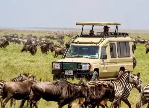Національний парк Серенгеті, serengeti national park (park) Національний парк Серенгеті, serengeti national park
