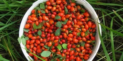 Народні засоби при клімаксі від припливів - рецепти і лікарські збори для полегшення синдрому