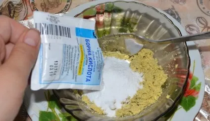 Народні засоби від мурах на ділянці ефективні методи