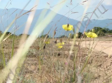 На машині до Байкалу - подорожі поУкаіни (Забайкальського національного парку) На машині до Байкалу - подорожі поУкаіни