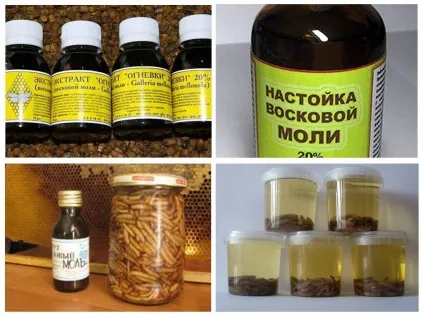 Настоянка воскової молі інструкція із застосування, призначення, лікування, відгуки (інструкція) Настоянка воскової молі інструкція із застосування, призначення, лікування, відгуки
