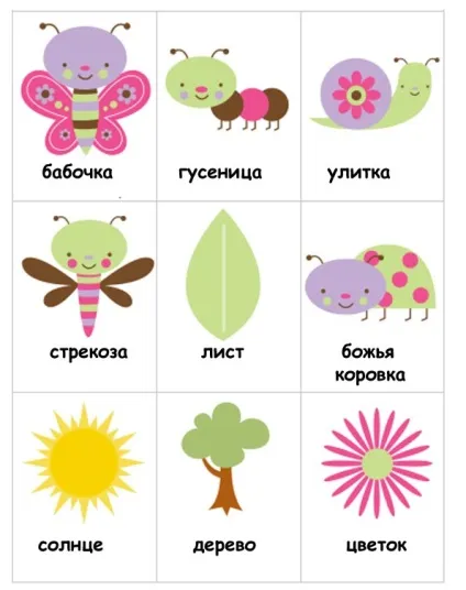 Комахи для дітей