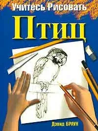 Навчіться мислити і малювати як Леонардо да Вінчі, автор майкл дж (Леонардо) Навчіться мислити і малювати як Леонардо да Вінчі, автор майкл дж