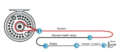 Нахлистова снасть для початківців - компоненти і рекомендації до збірки (снасть) Нахлистова снасть для початківців - компоненти і рекомендації до складання