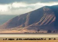Нгоронгоро, ngorongoro