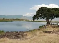 Нгоронгоро, ngorongoro