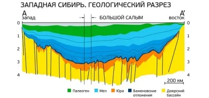 Новини баженовской свити (нашої Західного Сибіру) Новини баженовской свити
