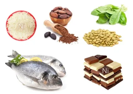 Нікель в продуктах харчування вплив нікелю на організм, food and health (продуктах) Нікель в продуктах харчування вплив нікелю на організм, food and health
