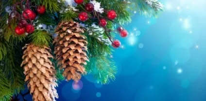 Звичаї святкування і традиції до нового року 2017 (підготовки Нового року) Звичаї святкування і традиції до нового року 2017