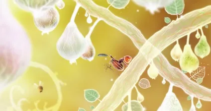 огляд botanicula