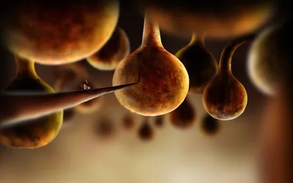 огляд botanicula