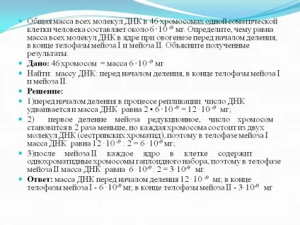 Загальна маса всіх молекул ДНК