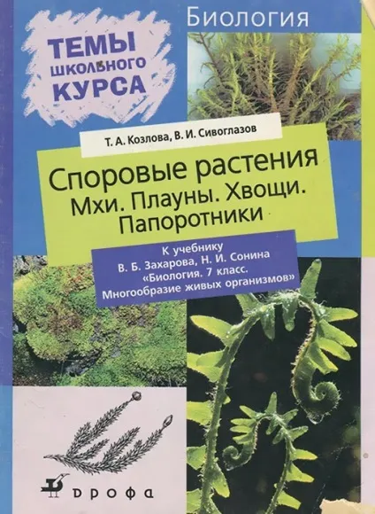 Загальна характеристика хвощевидних (характеристика) Загальна характеристика хвощевидних
