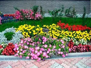 Оформлення клумби своїми руками відмінності клумб за видами і формою, правила створення (формі) Оформлення клумби своїми руками відмінності клумб за видами і формою, правила створення