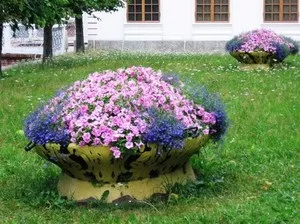 Оформлення клумби своїми руками відмінності клумб за видами і формою, правила створення (клумб) Оформлення клумби своїми руками відмінності клумб за видами і формою, правила створення
