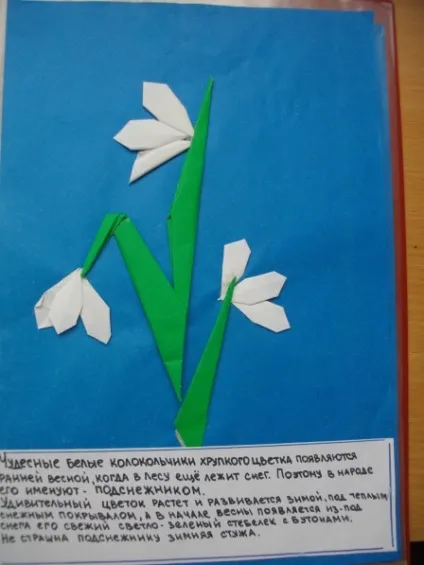 Оформлення червоної книги