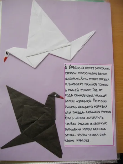Оформлення червоної книги