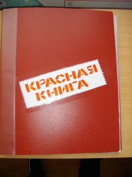 Оформлення червоної книги