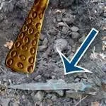 Екіпп на коп і що в пошуку з металошукачем взяти з собою, мд арена (собою) Екіпп на коп і що в пошуку з металошукачем взяти з собою, мд арена