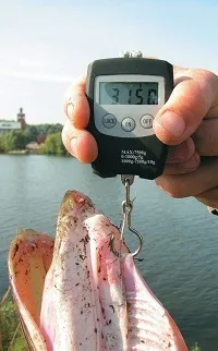 Екіпірування та спорядження для риболовлі зі спінінгом, ультралайт клуб () Екіпірування та спорядження для риболовлі зі спінінгом, ультралайт клуб