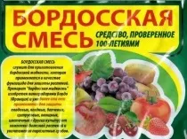 Ефективна обробка теплиці від фітофтори восени кошти для дезінфекції, застосування залізного (застосування) Ефективна обробка теплиці від фітофтори восени кошти для дезінфекції, застосування залізного