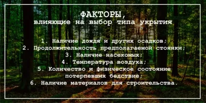 Екстремальне укриття в лісі