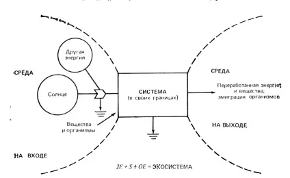Екосистеми тундри - реферат, сторінка 1 (енергії) Екосистеми тундри - реферат, сторінка 1